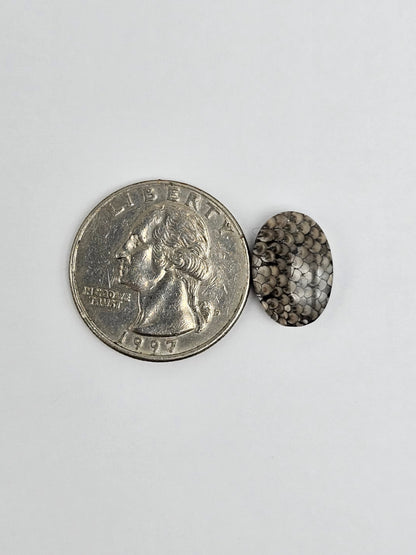 Snake skin agate cabochon