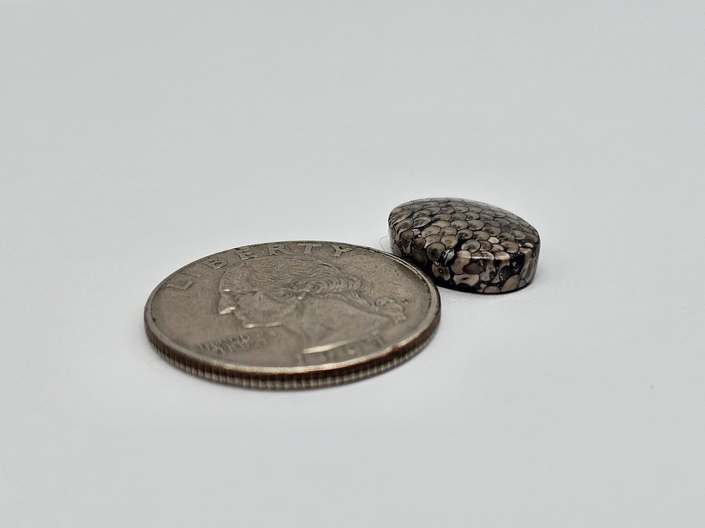 Snake skin agate cabochon