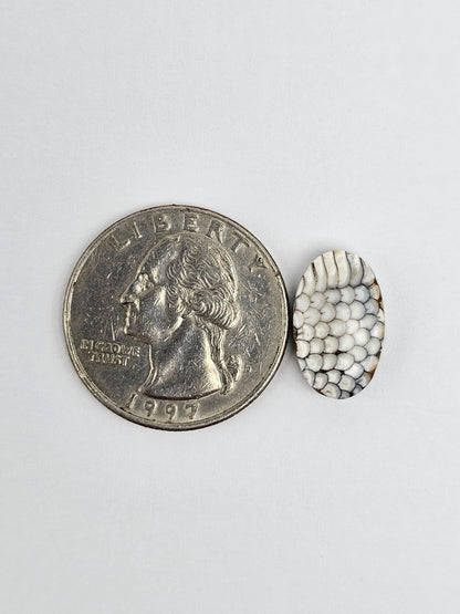 Snake skin agate cabochon