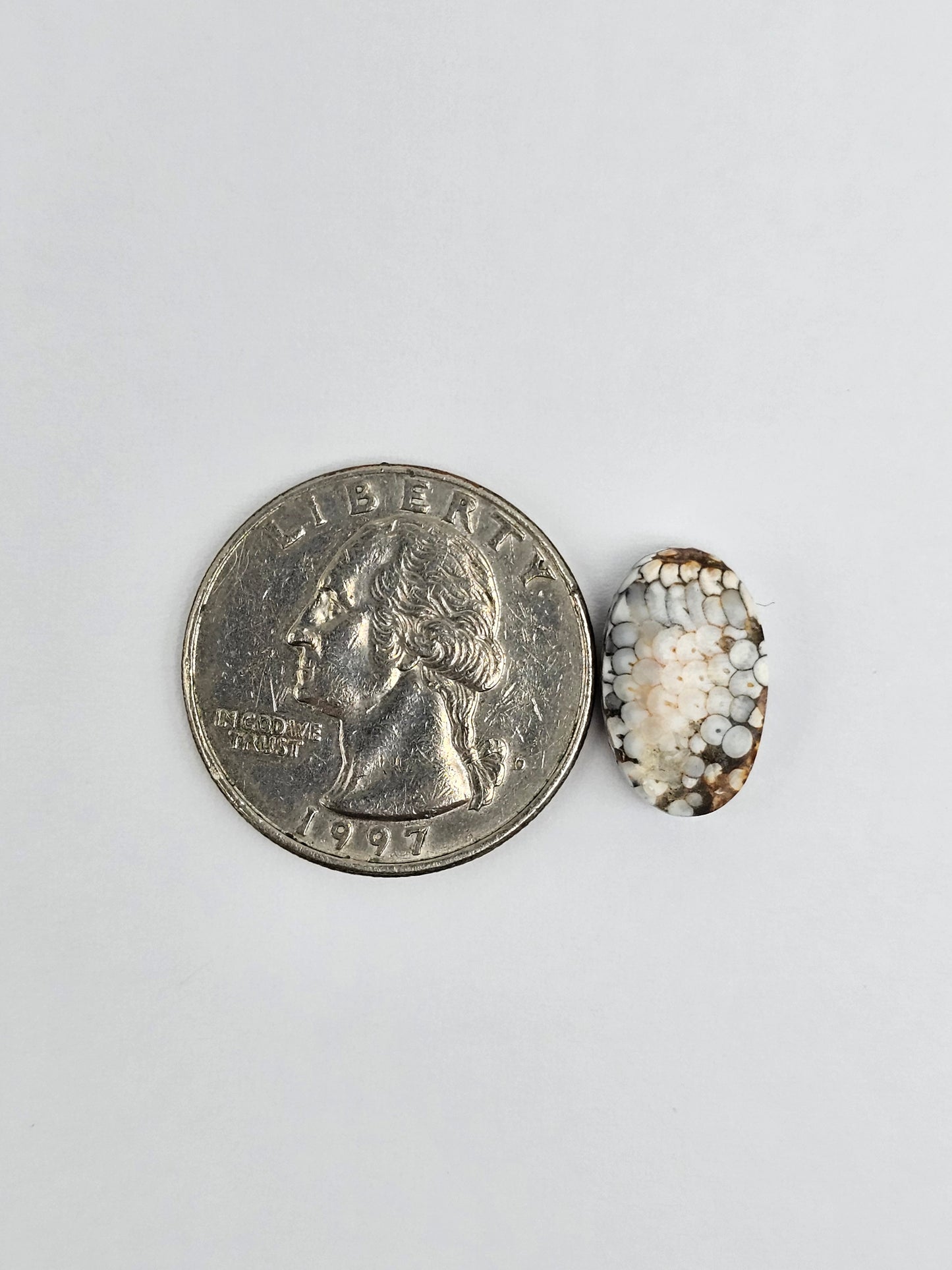 Snake skin agate cabochon