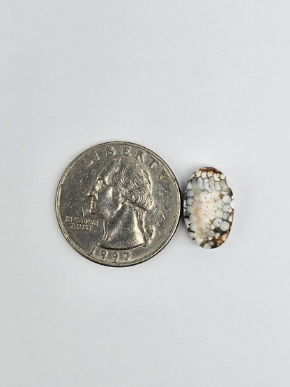 Snake skin agate cabochon