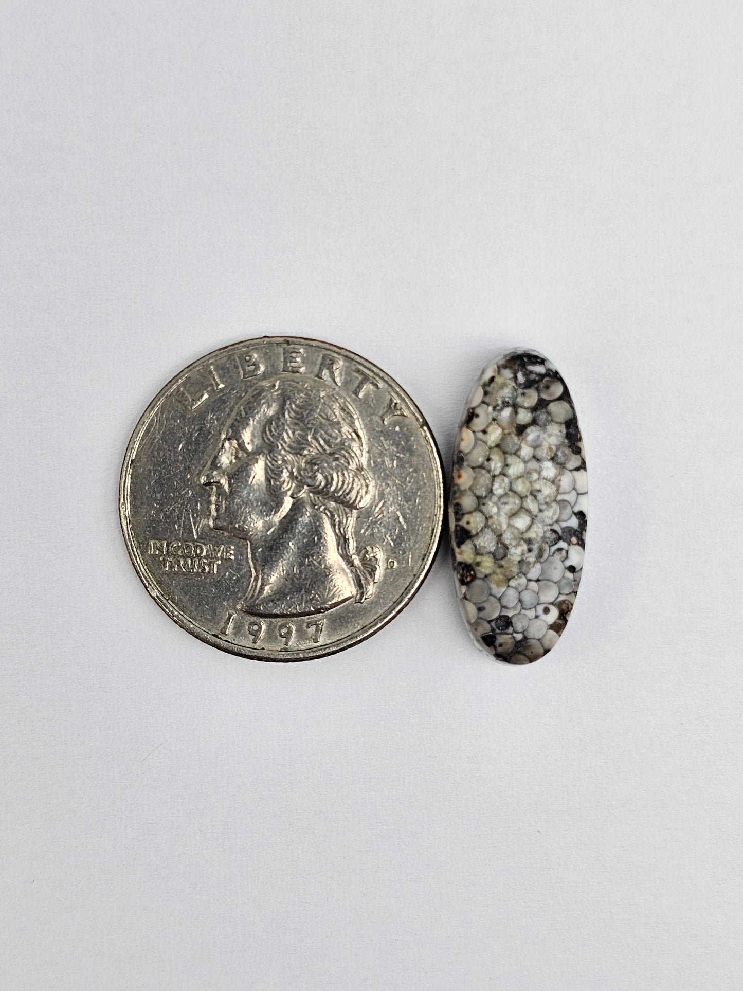 Snake skin agate cabochon