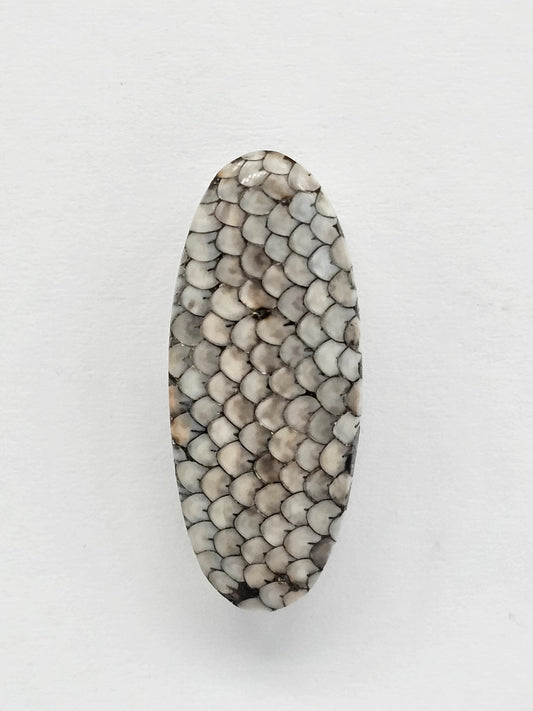 Snake skin agate cabochon