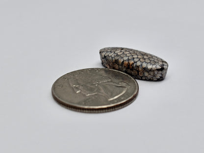 Snake skin agate cabochon