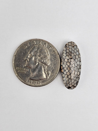 Snake skin agate cabochon