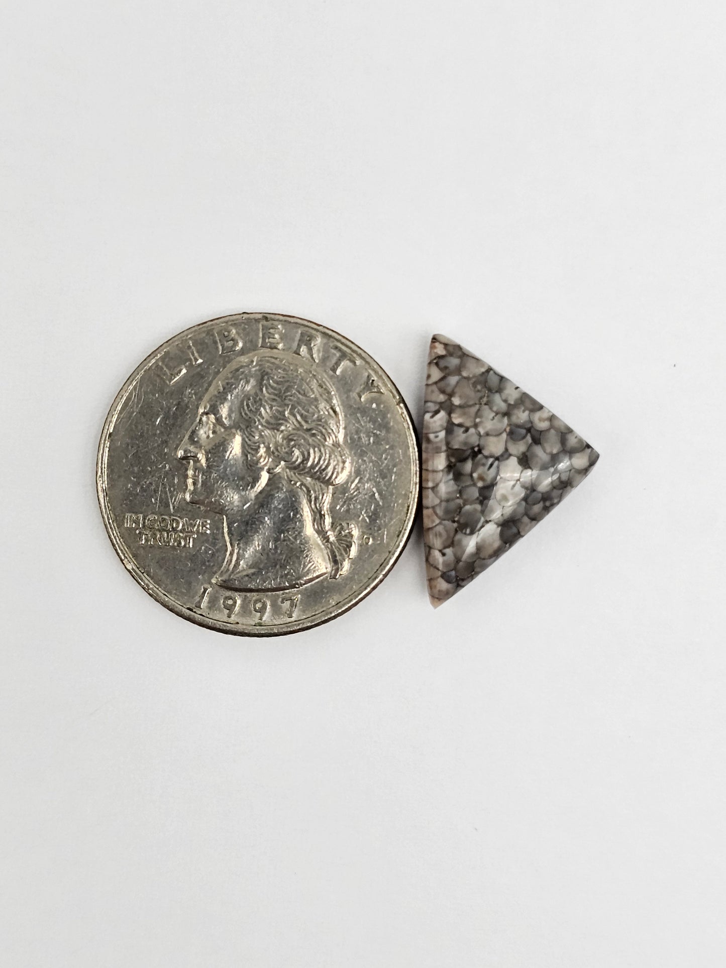 Snake skin agate cabochon