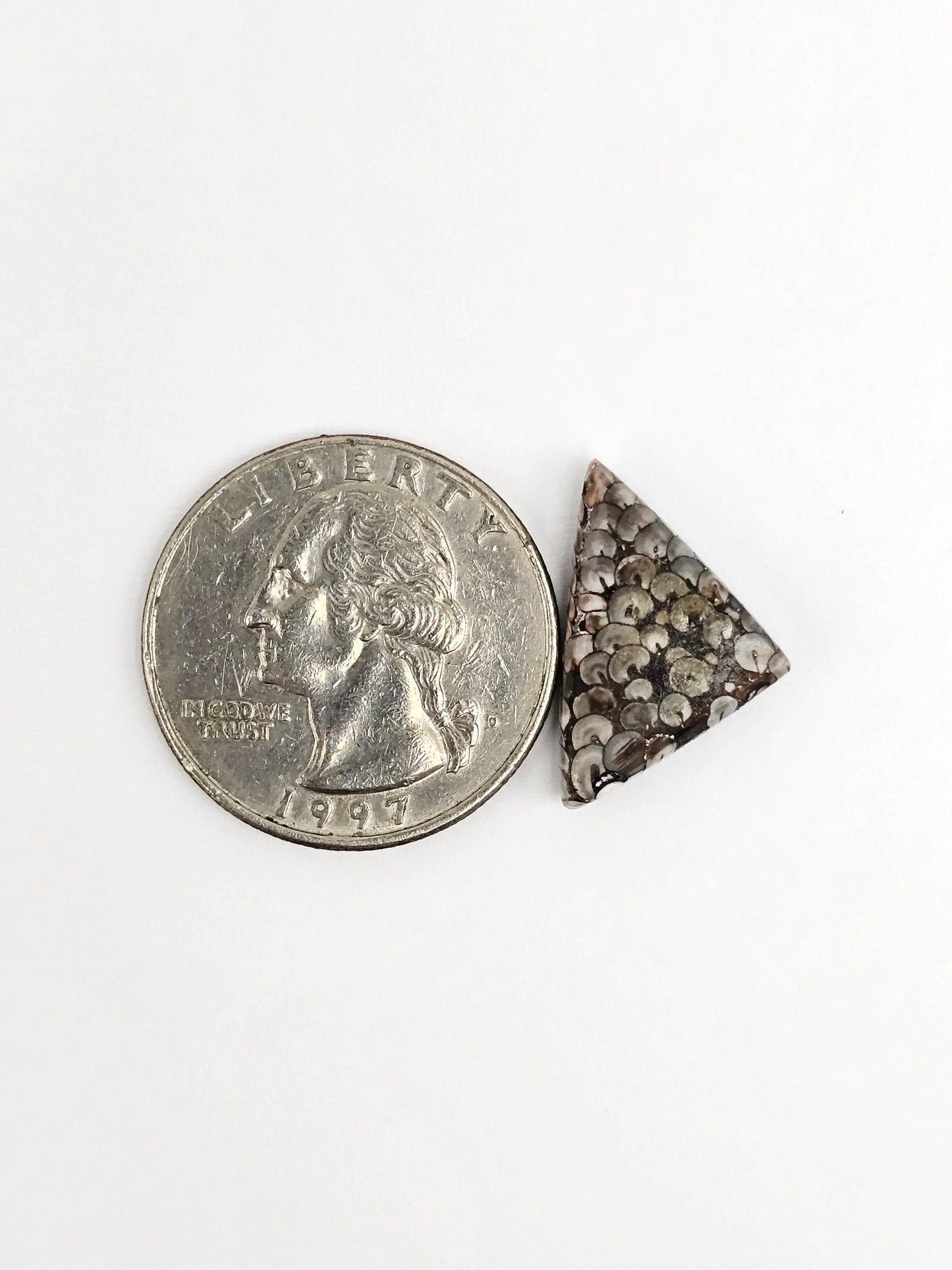 Snake skin agate cabochon