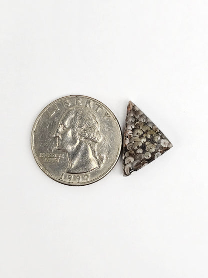 Snake skin agate cabochon