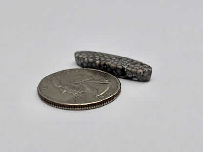 Snake skin agate cabochon