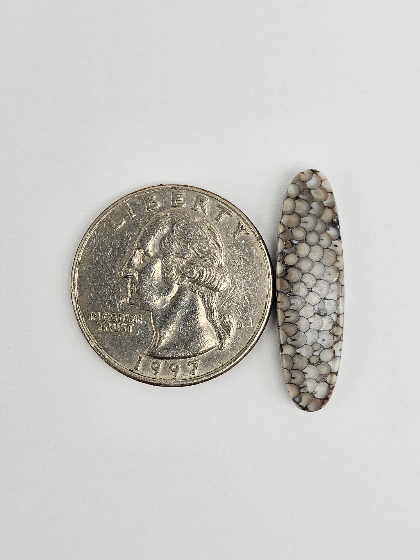 Snake skin agate cabochon