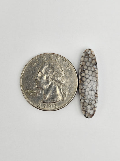 Snake skin agate cabochon