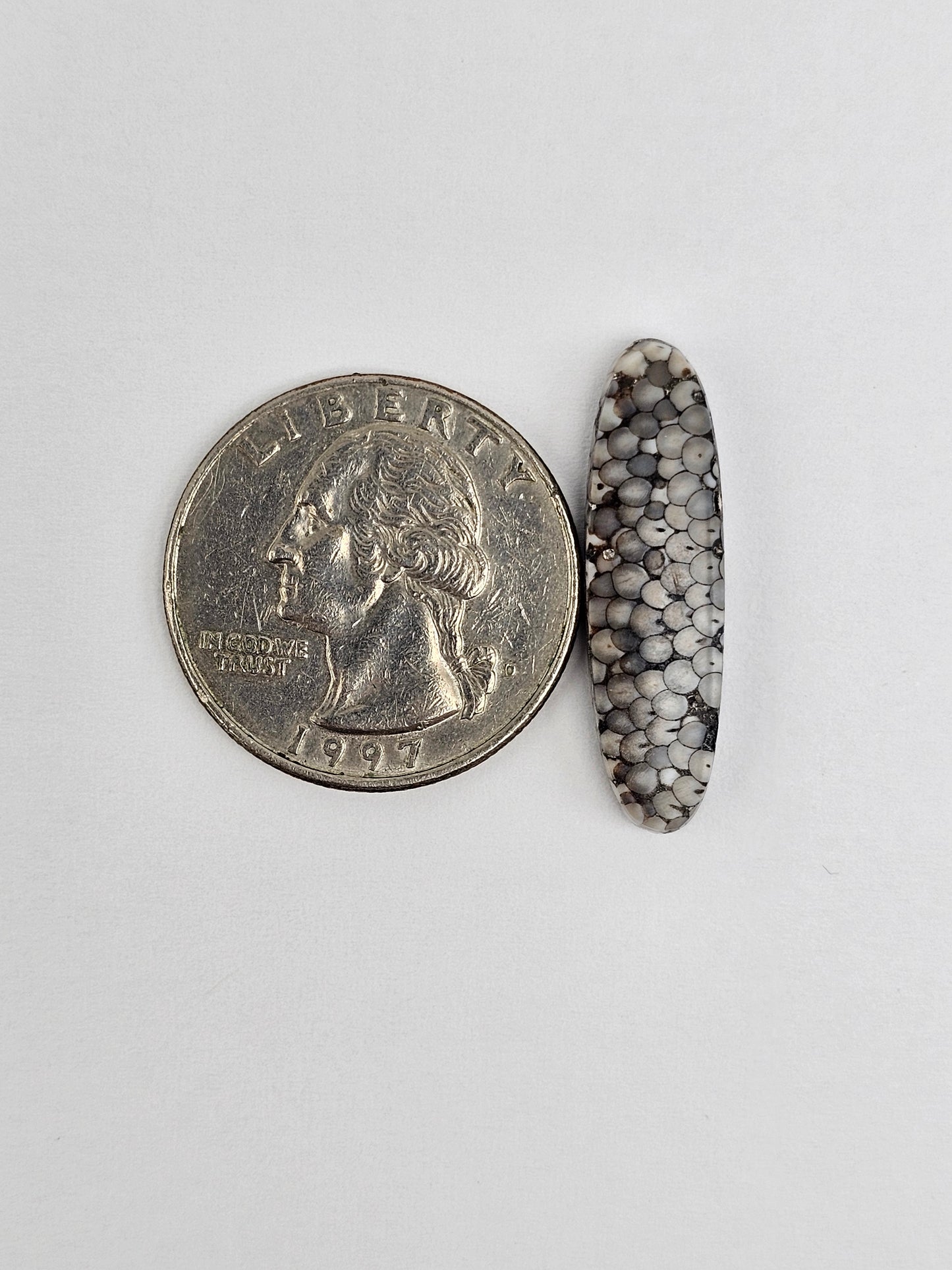 Snake skin agate cabochon