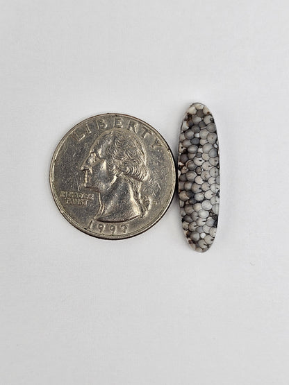 Snake skin agate cabochon