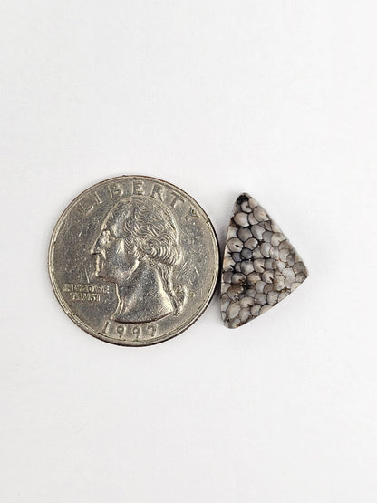 Snake skin agate cabochon