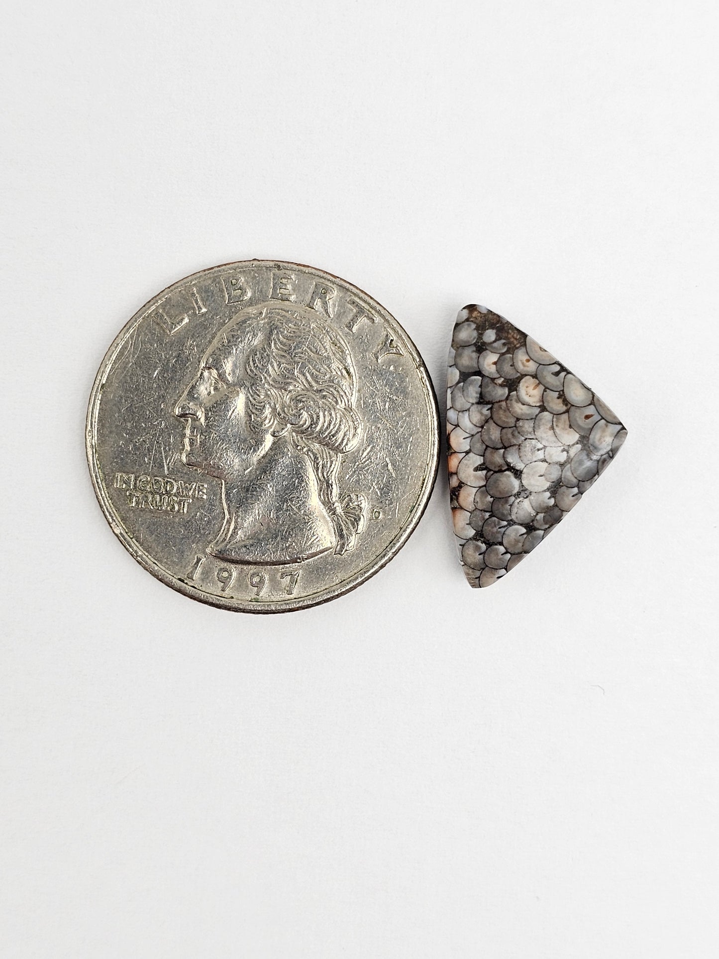 Snake skin agate cabochon