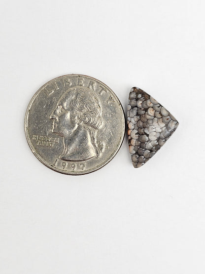 Snake skin agate cabochon