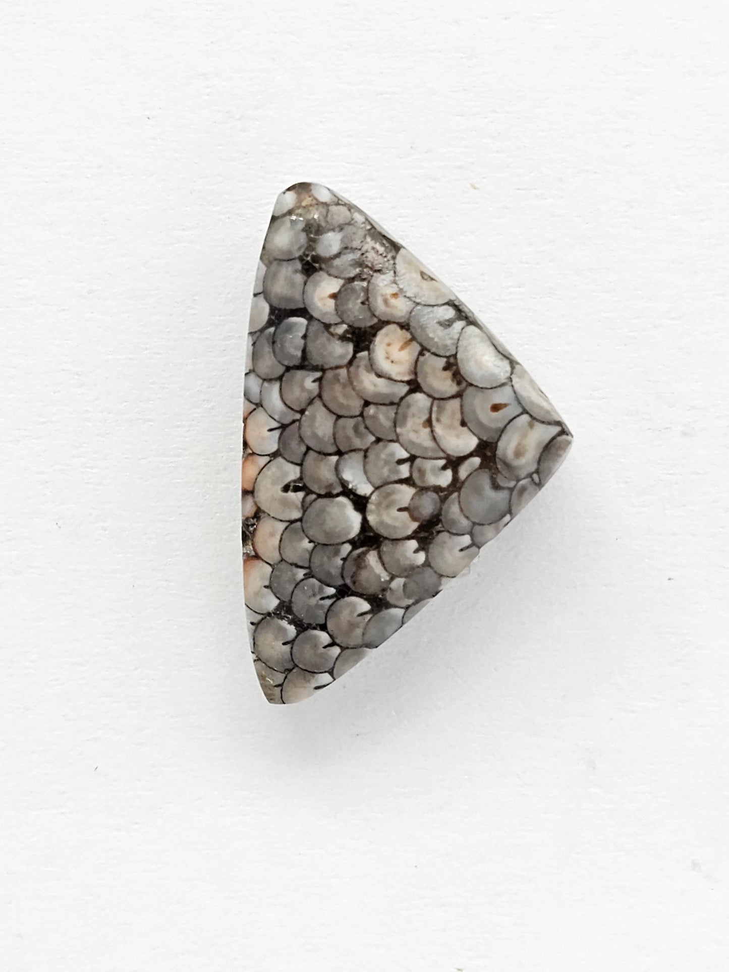 Snake skin agate cabochon