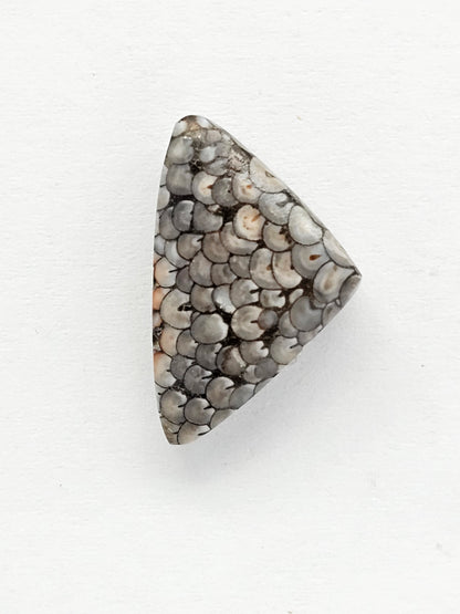 Snake skin agate cabochon