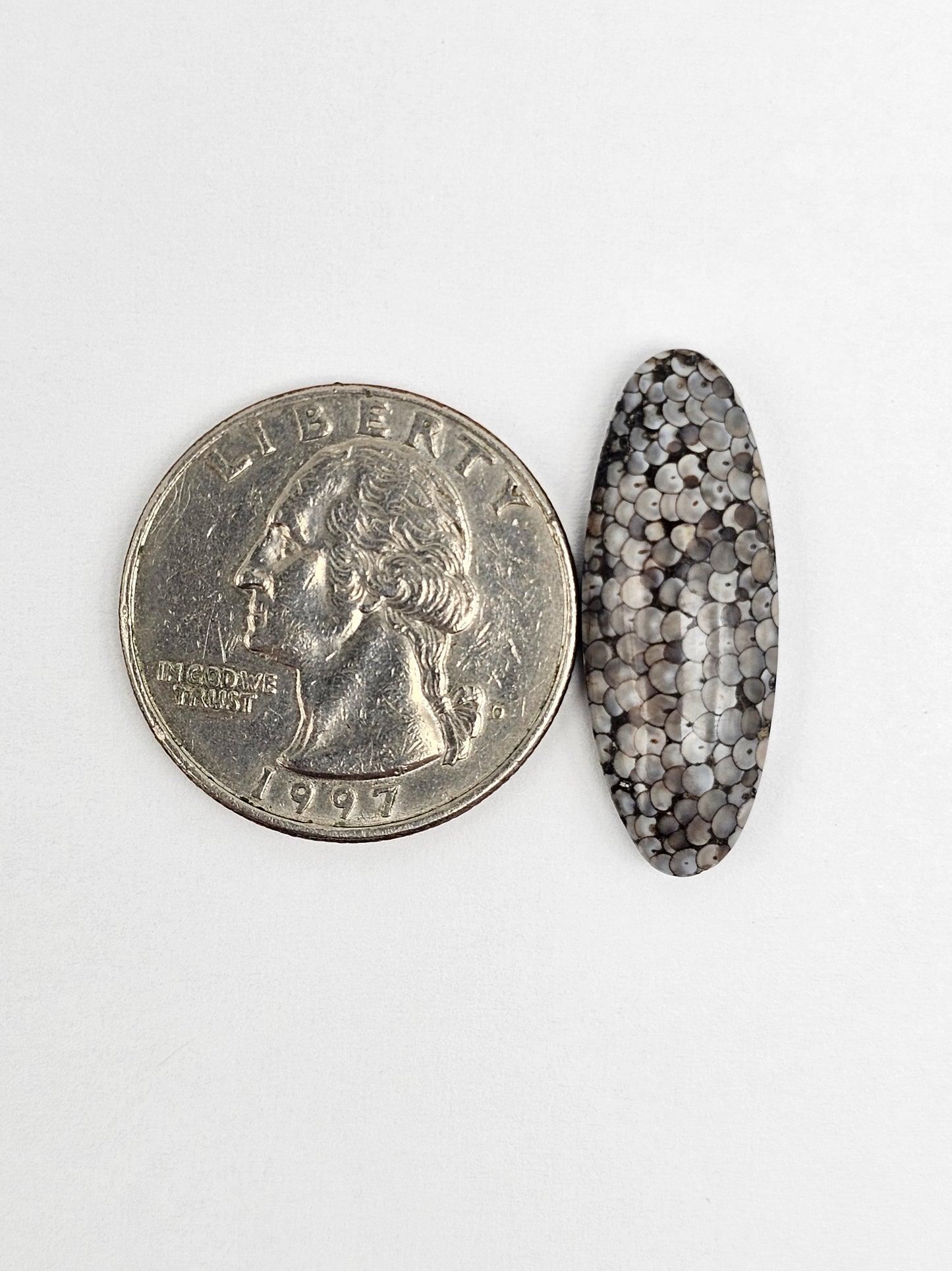 Snake skin agate cabochon