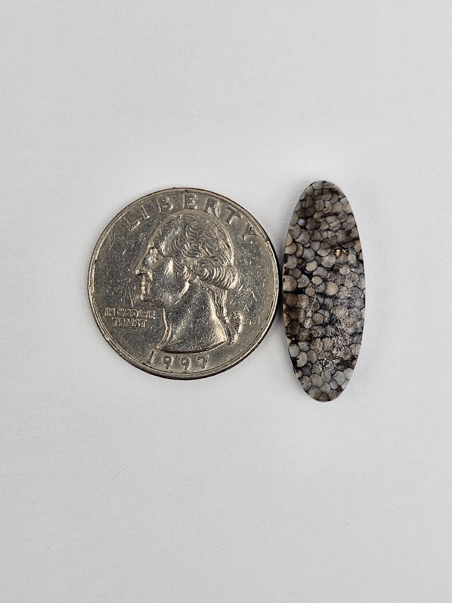 Snake skin agate cabochon