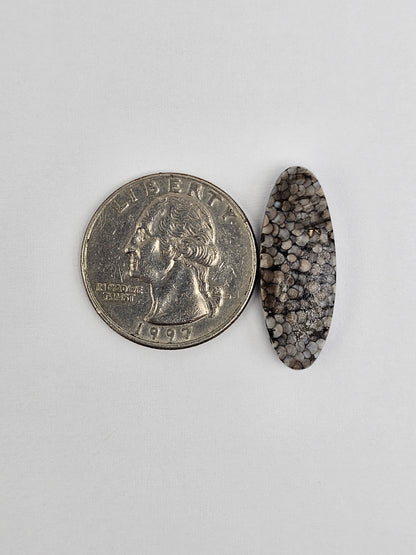 Snake skin agate cabochon