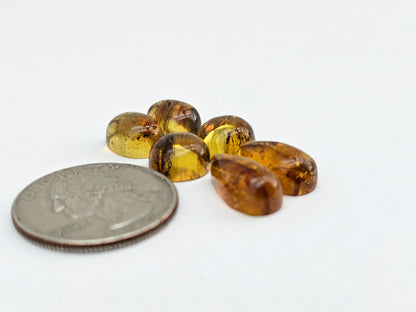 Amber authentic cabochon pair lot