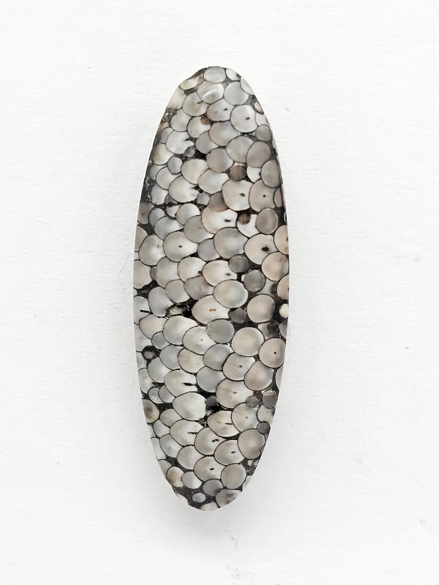 Snake skin agate cabochon