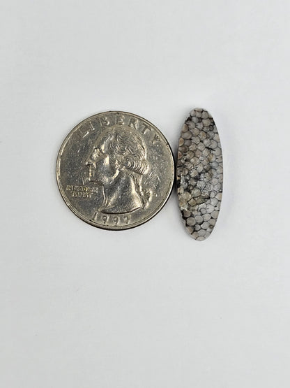 Snake skin agate cabochon