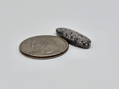 Snake skin agate cabochon