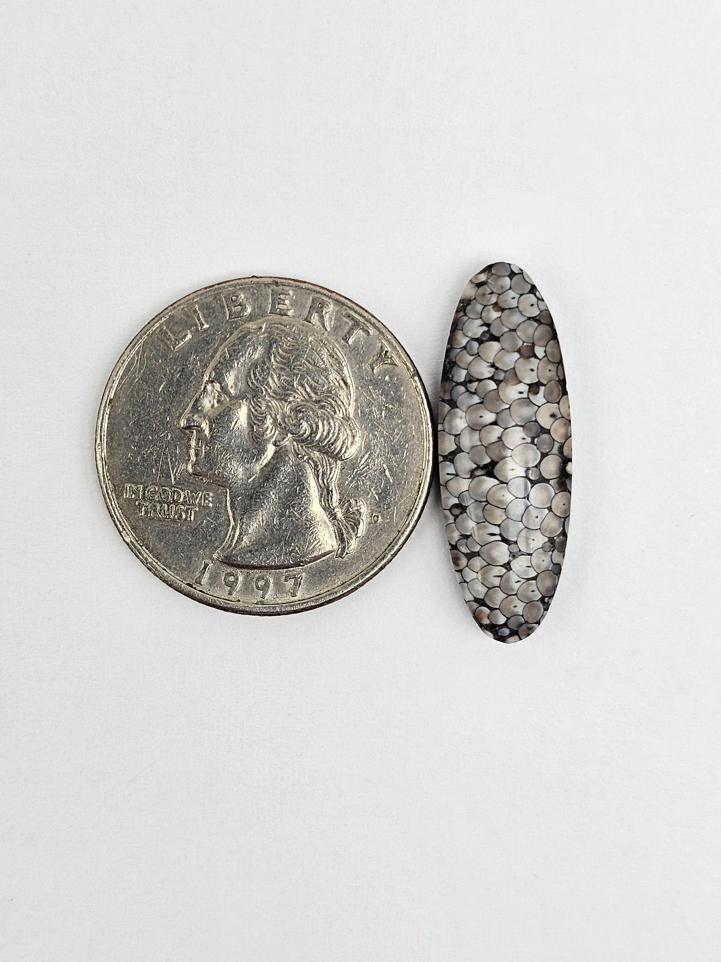 Snake skin agate cabochon