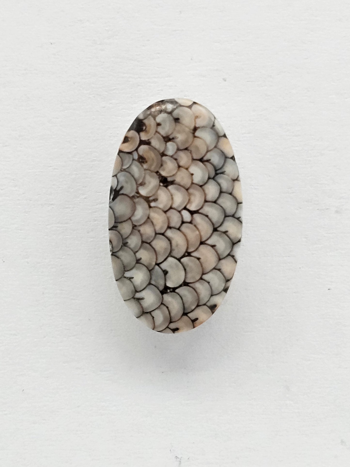 Snake skin agate cabochon
