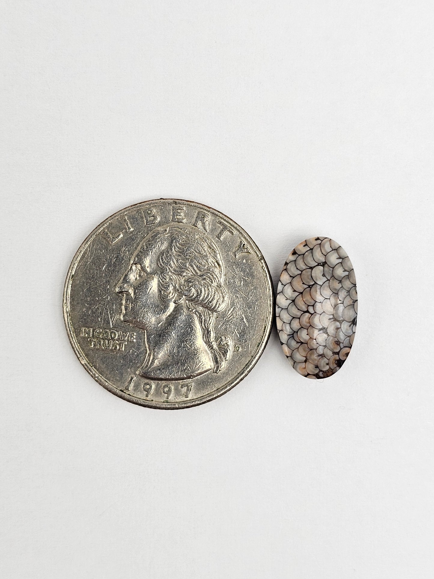 Snake skin agate cabochon