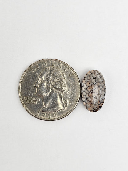 Snake skin agate cabochon