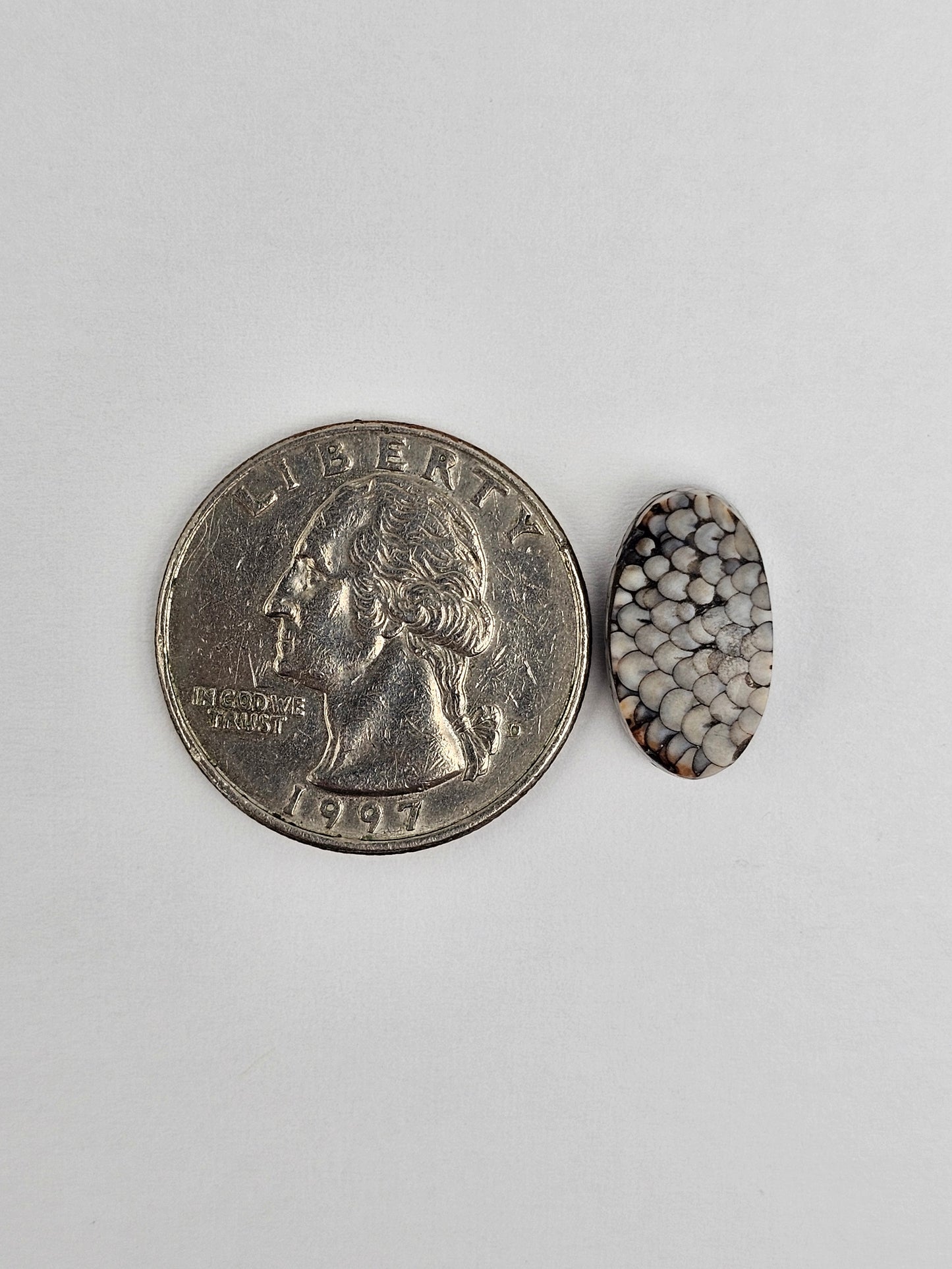 Snake skin agate cabochon