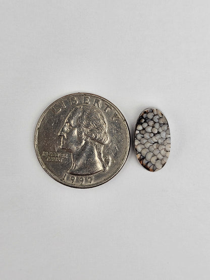 Snake skin agate cabochon