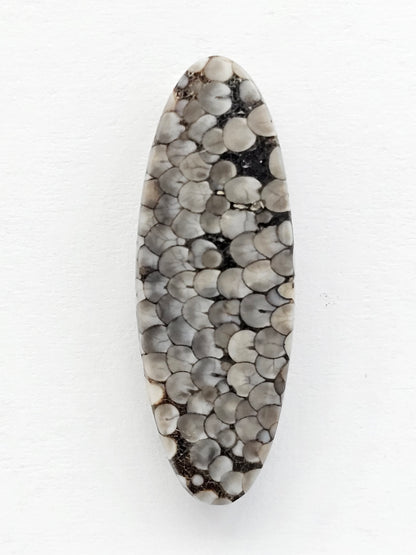 Snake skin agate cabochon