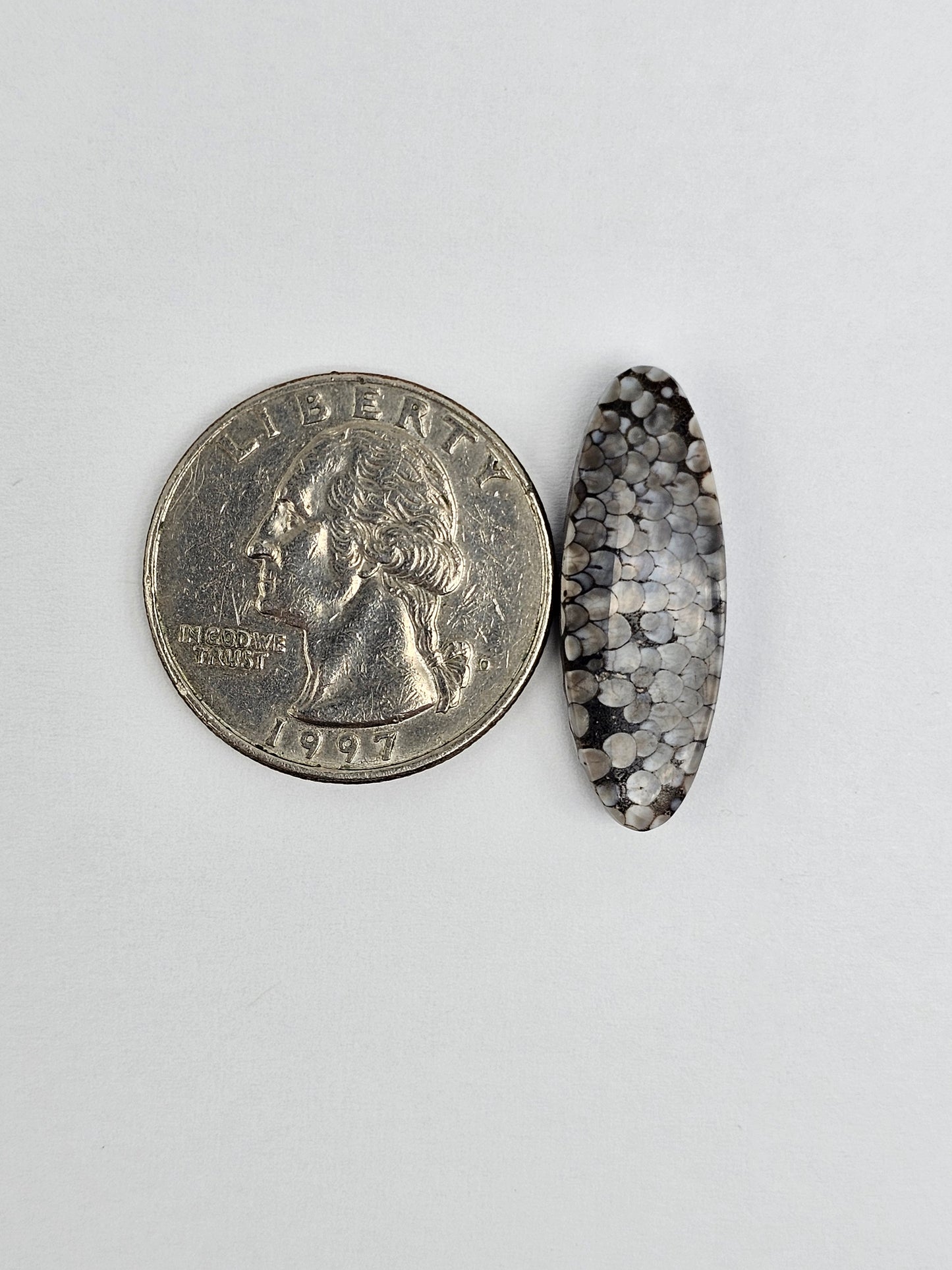 Snake skin agate cabochon