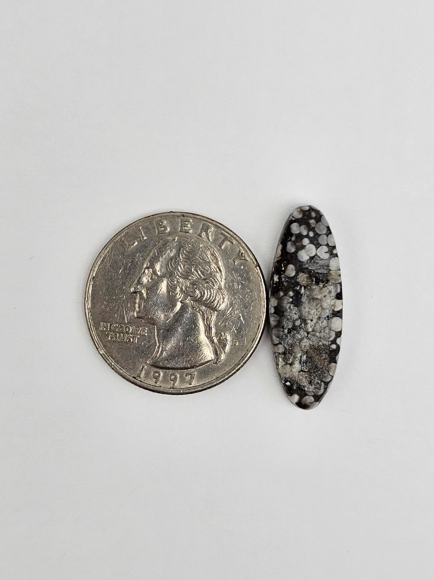 Snake skin agate cabochon