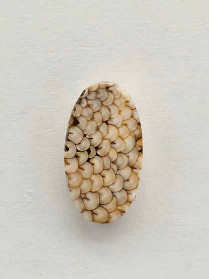 Snake skin agate cabochon