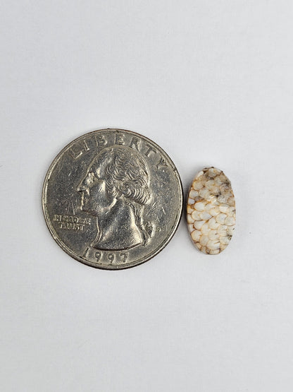 Snake skin agate cabochon