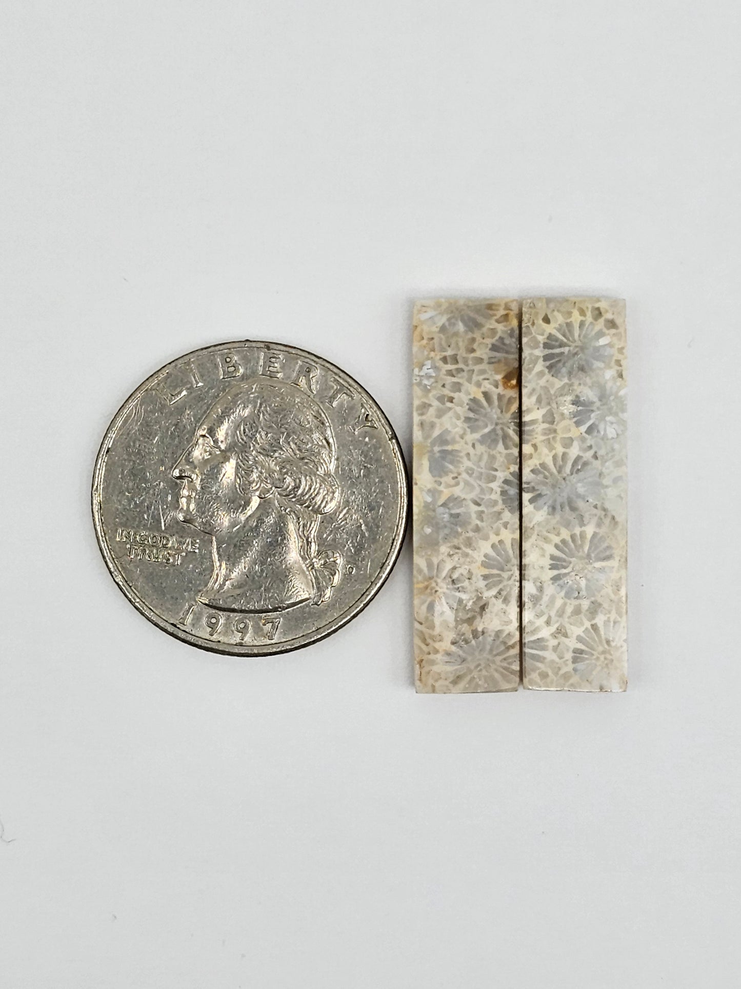 Fossilized Coral Agate Pair