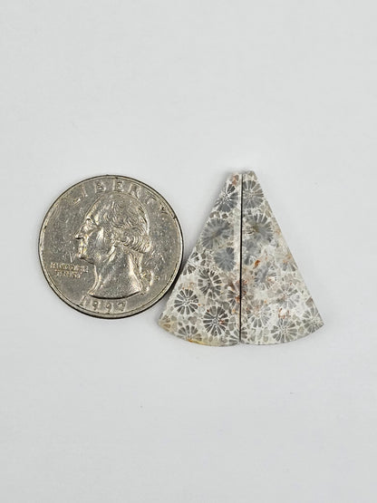 Fossilized Coral Agate Pair