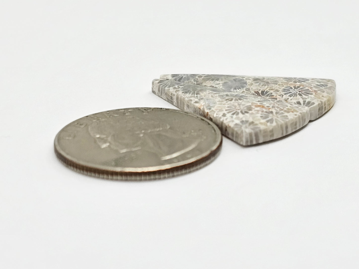 Fossilized Coral Agate Pair