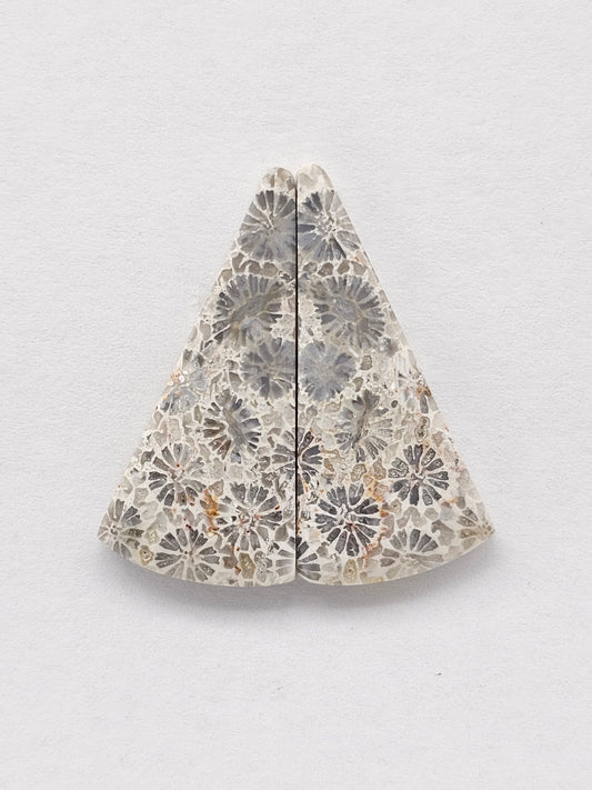 Fossilized Coral Agate Pair