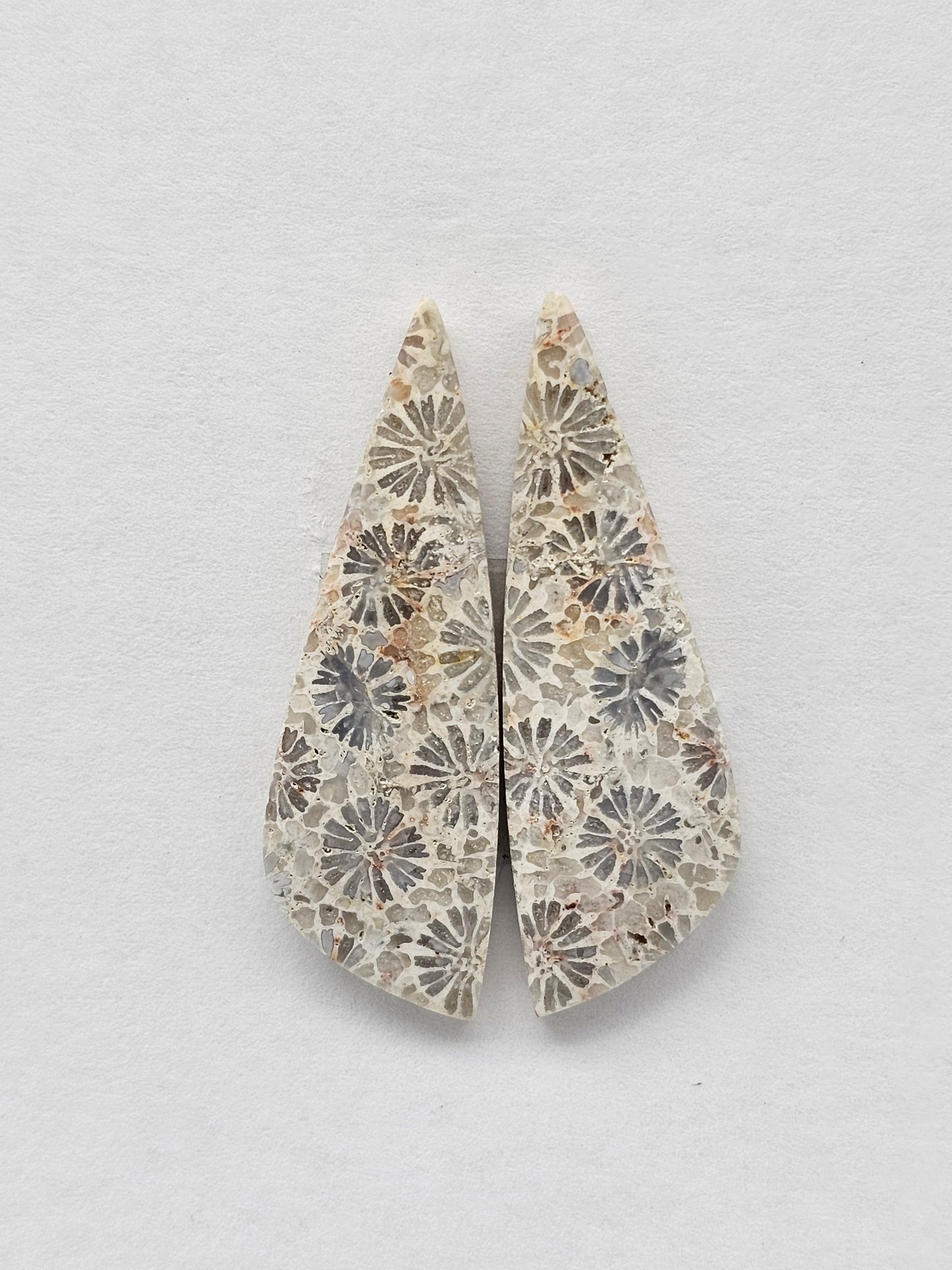 Fossilized Coral Agate Pair