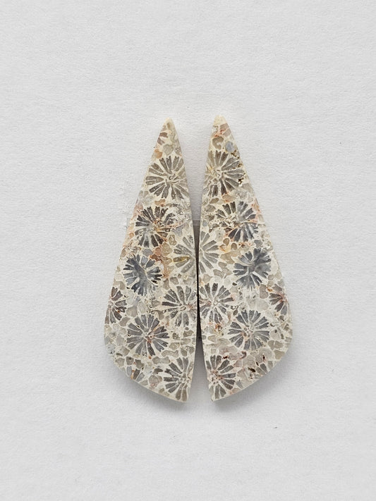 Fossilized Coral Agate Pair