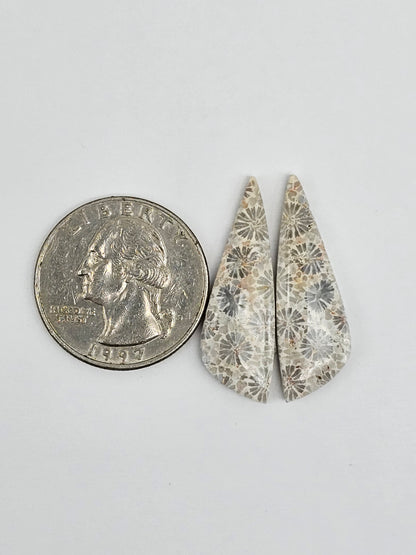 Fossilized Coral Agate Pair