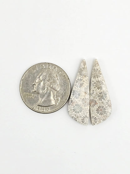 Fossilized Coral Agate Pair