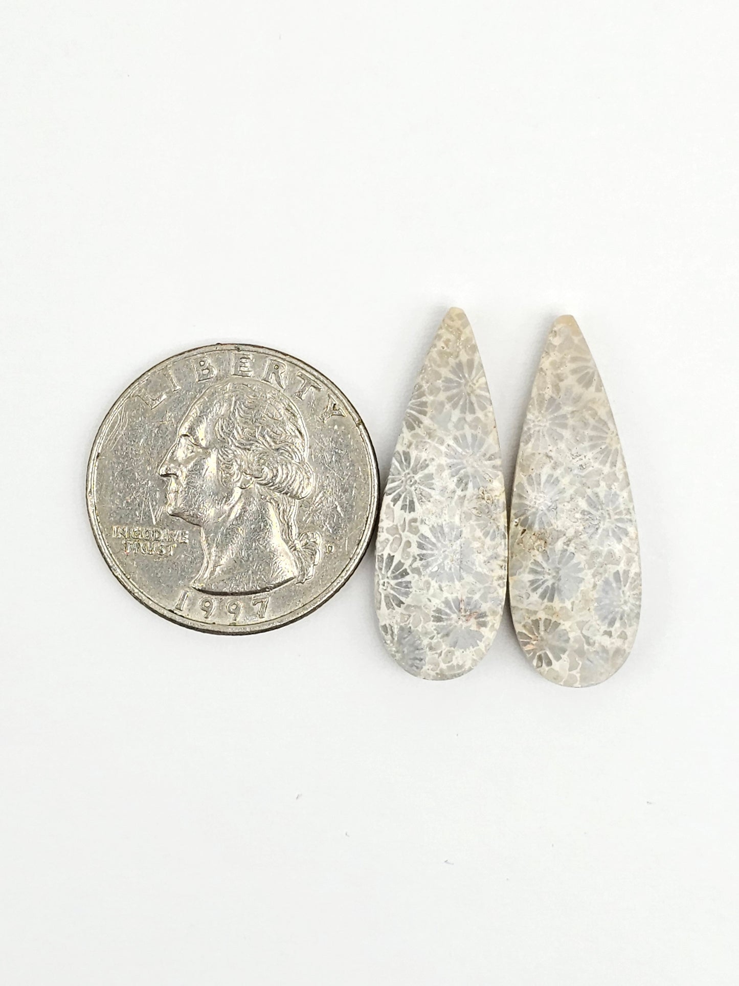 Fossilized Coral Agate Pair