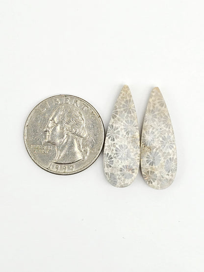 Fossilized Coral Agate Pair